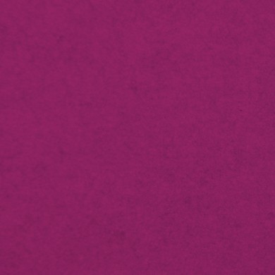 Fuchsia 9.14